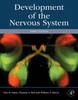 Development of the Nervous System