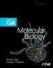 Molecular Biology - 9780123785947