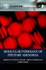 Molecular Pathology of Pituitary Adenomas - 9780124158306