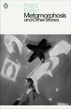 Metamorphosis and Other Stories - 9780241197820