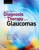 Becker-Shaffer's Diagnosis and Therapy of the Glaucomas - 9780323023948