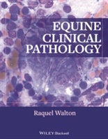 Equine Clinical Pathology - 9780813817194