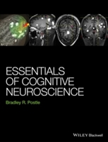 Essentials of Cognitive Neuroscience - 9781118468067