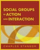 Social Groups in Action and Interaction - 9781841694078