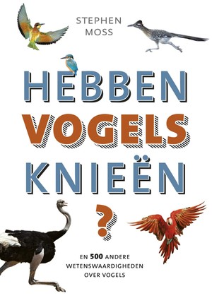 Hebben vogels knieën? - 9789021564692