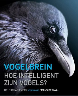 Het vogelbrein