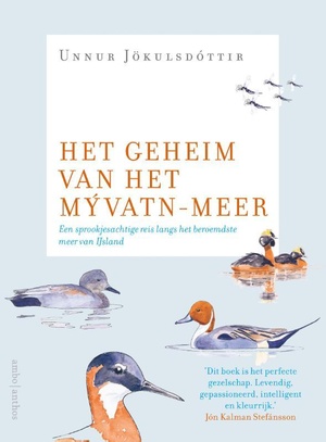 Het geheim van het Mývatnmeer - 9789026344725