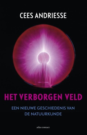 Het verborgen veld - 9789045028910